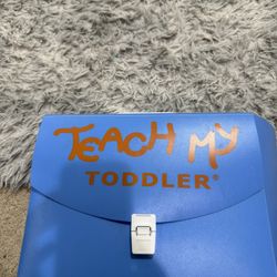 Teach My Toddler Learning Set 