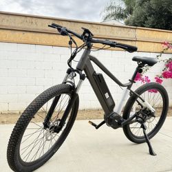 E bike