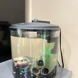Betta Fish With Tank, Water Heater And Filter