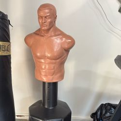 Punching Dummy