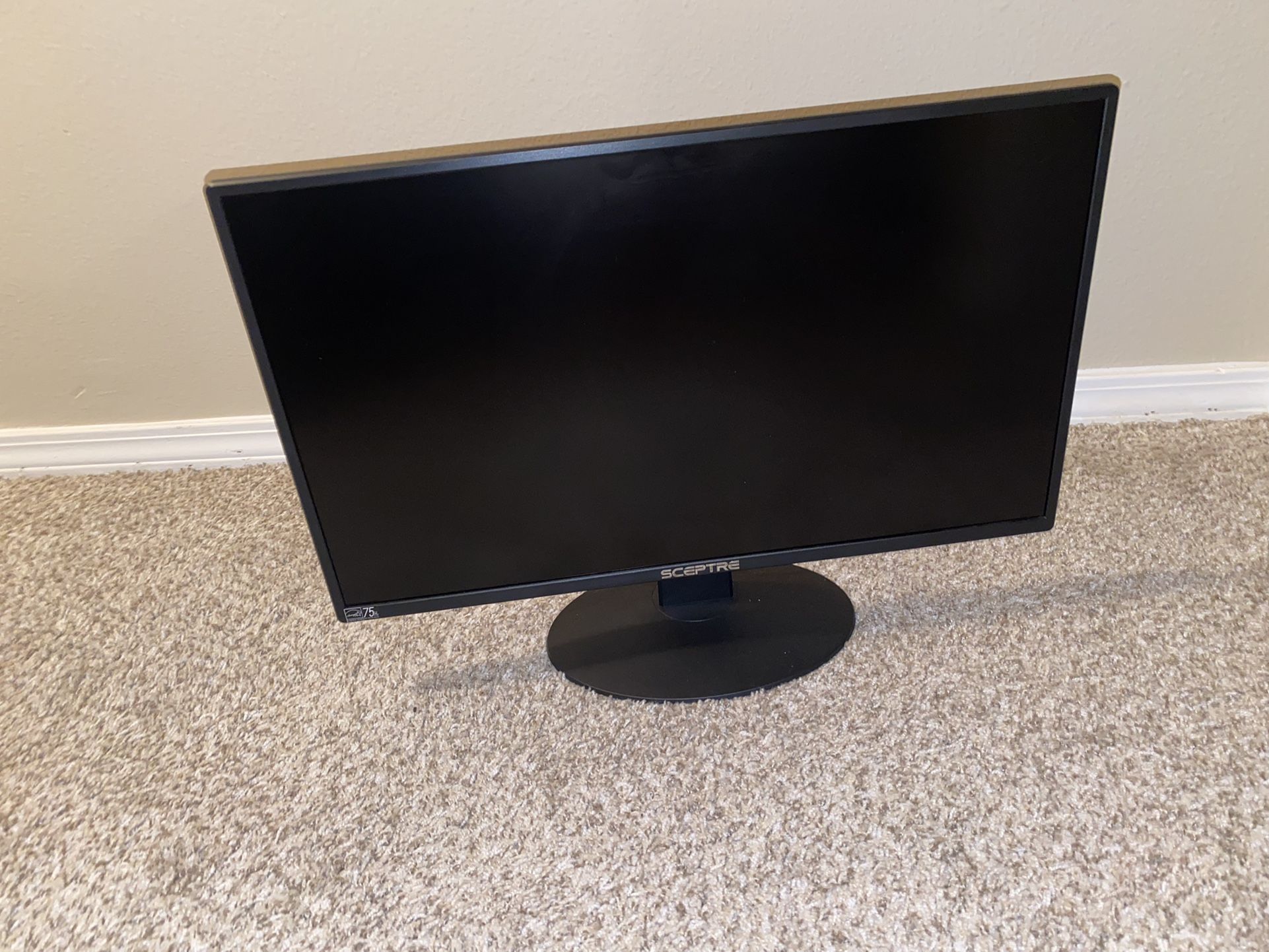 Sceptre 24” Monitor 