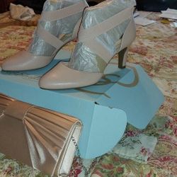 Blush Color Dress Shoes With Matching  Clutch 