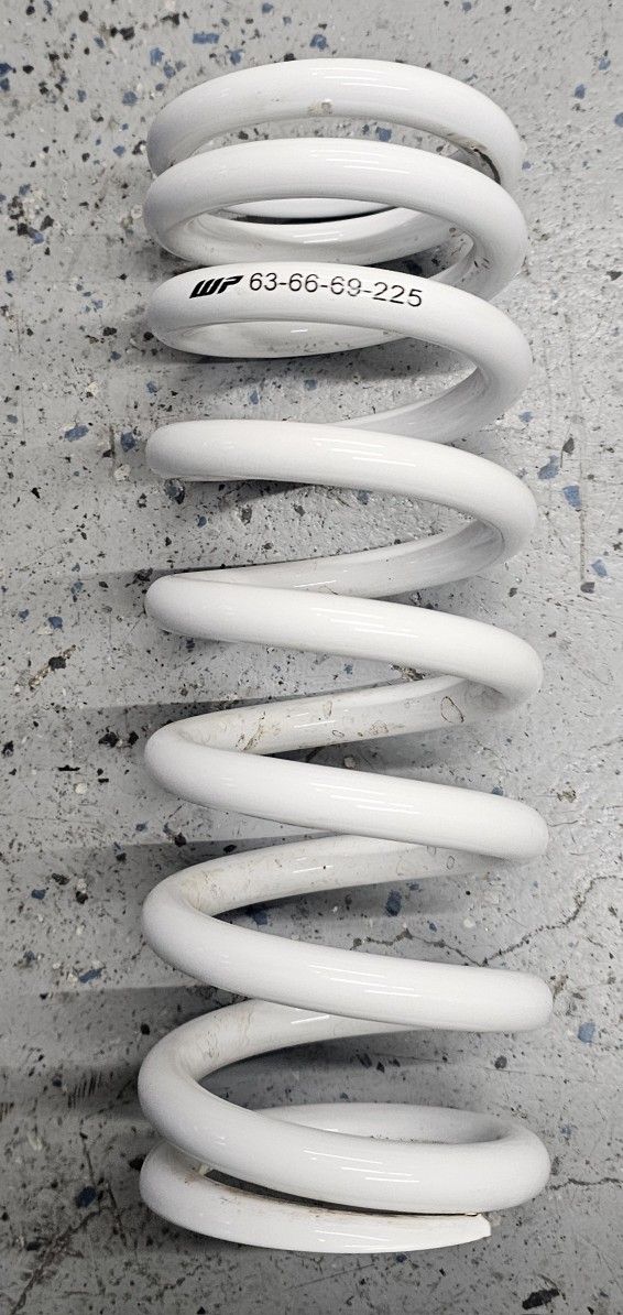 WP Rear PDS spring