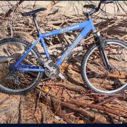 Specialized HardRock Mountain Bike 17 " Special Edition