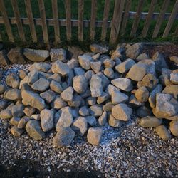 Free  Rock