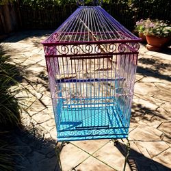 Bird Cage 