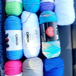 10 Skeins Of Caron Simple Soft Yarn