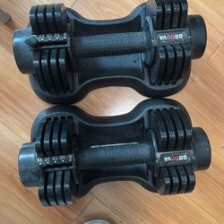 Adjustable Weights