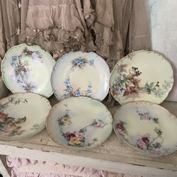 Antique Plate Collection 