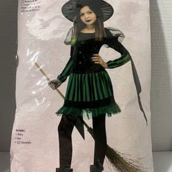 Wicked Witch Children's Costume Brand New
