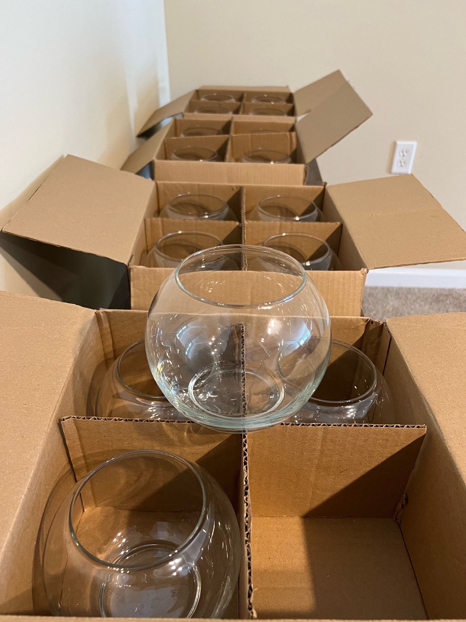 Glass Bubble Ball Vase 5.5” (16)