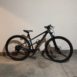 Specialized Rock Hopper Mountain Bike