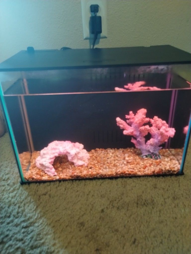 Fish Tank