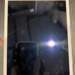 iPad Mini 4