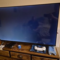 TV Vizio 42" Flat Screen