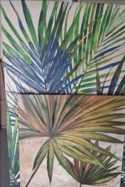Palm picture