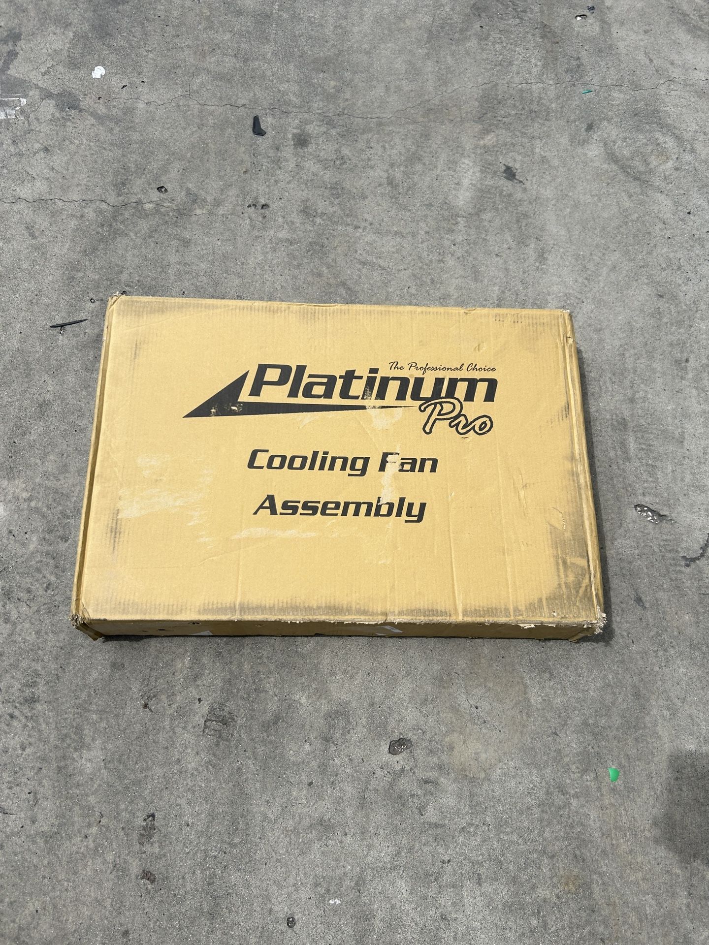 Dodge Charger Fan