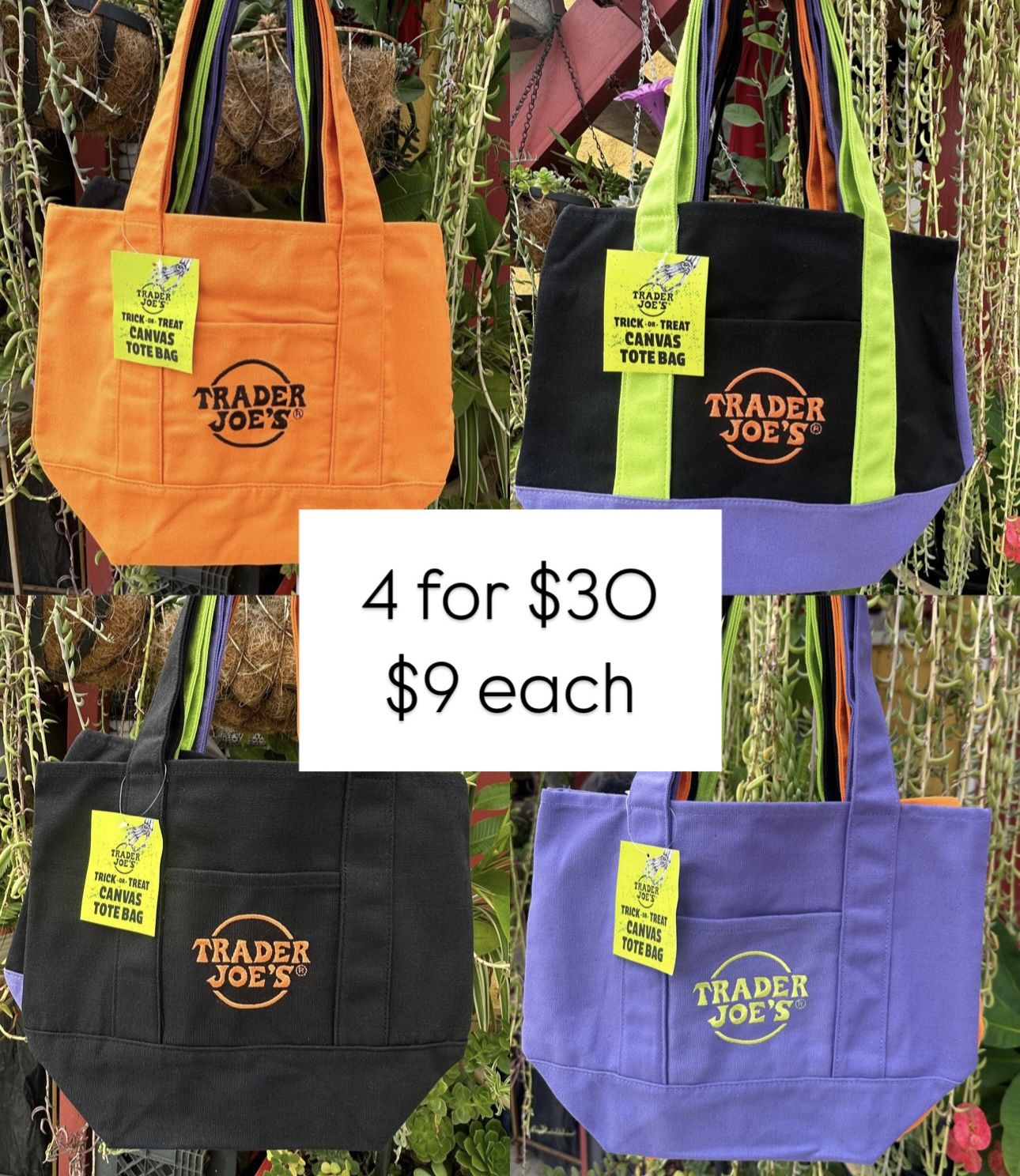 Trader Joe’s Tote - Halloween Edition
