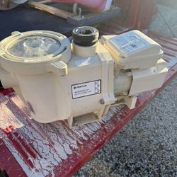 Pentair Pool Pump