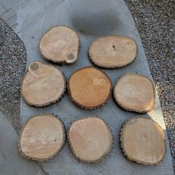 Arizona Ash Wood Rounds