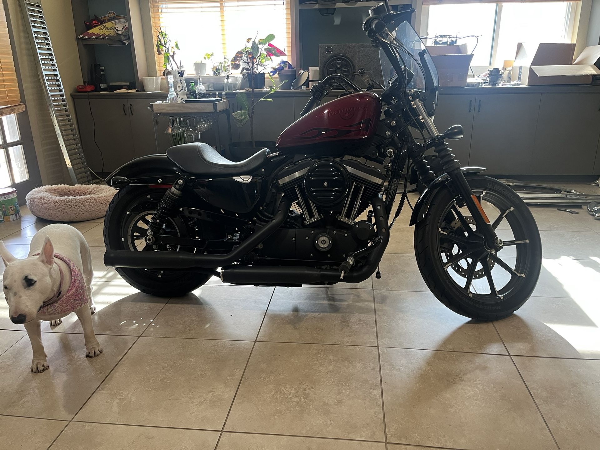 2017 Harley Davidson Sportster Iron