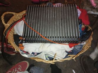 Amp