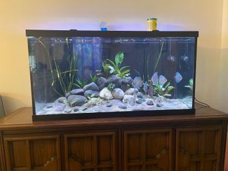 90 gallon fish tank aquarium with stand