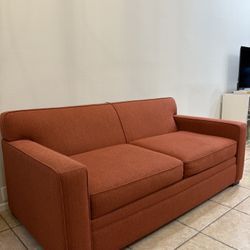Living Spaces Sleeper Sofa