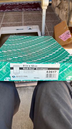 Redi-Seal Envelopes, 9-1/2 x 12-1/2