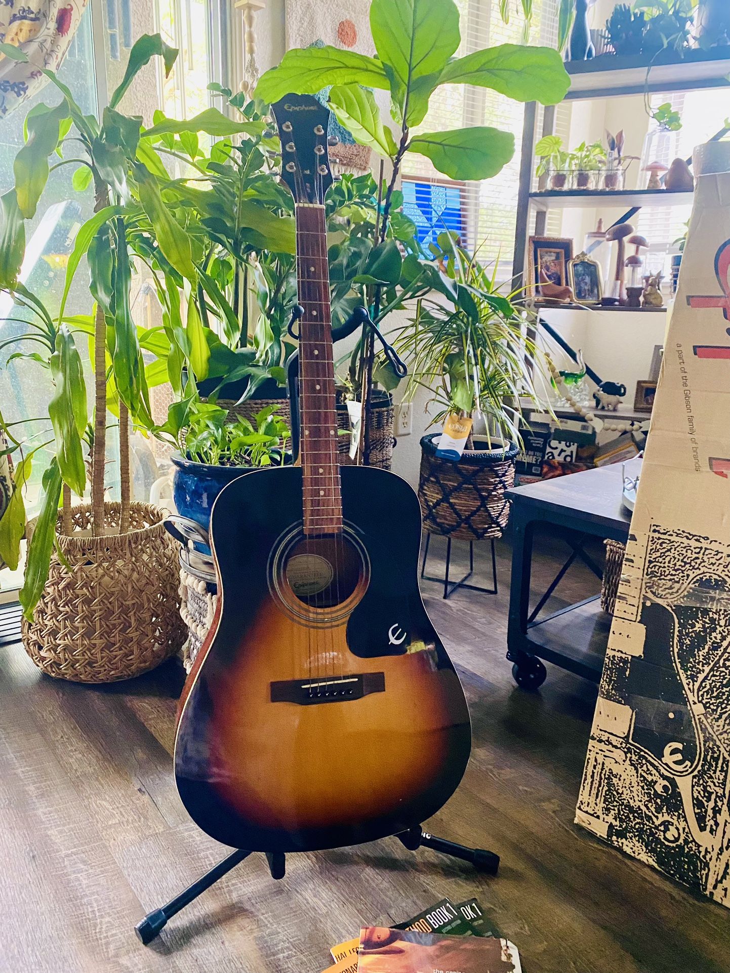 Epiphone acoustic and accessories