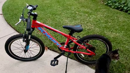 Schwinn Kids Mountain Bike Red