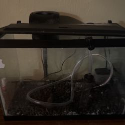 Aquarium Set Up 