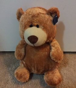 Plush brown teddy bear