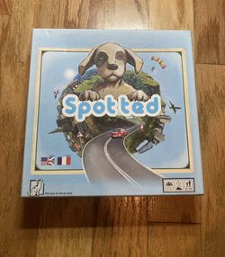 Spotted Kids car game