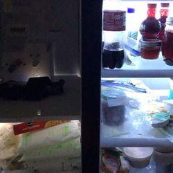 Samsung Refrigerator /Freezer