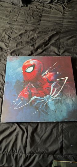 Spider-Man frame