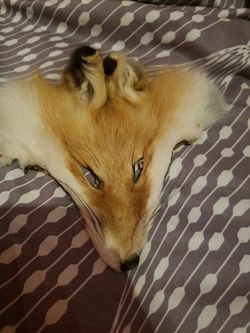 Real Fox Fur