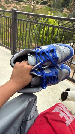 Nike size 12