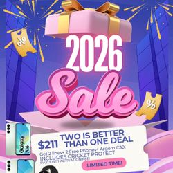 Start The New Year With Cricket 