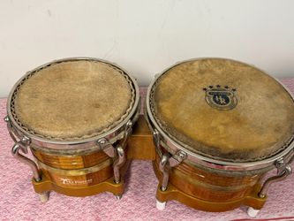 Colombian Bongo EL piernas
