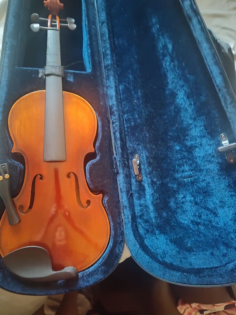 Pyle Violin 
