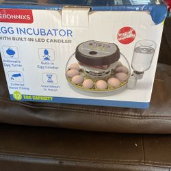 Egg Incubator Nuevo 