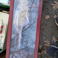 Doll In Nice Glass Box 