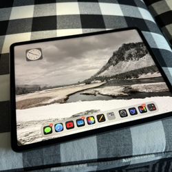 ipad Pro 12.9 unlocked