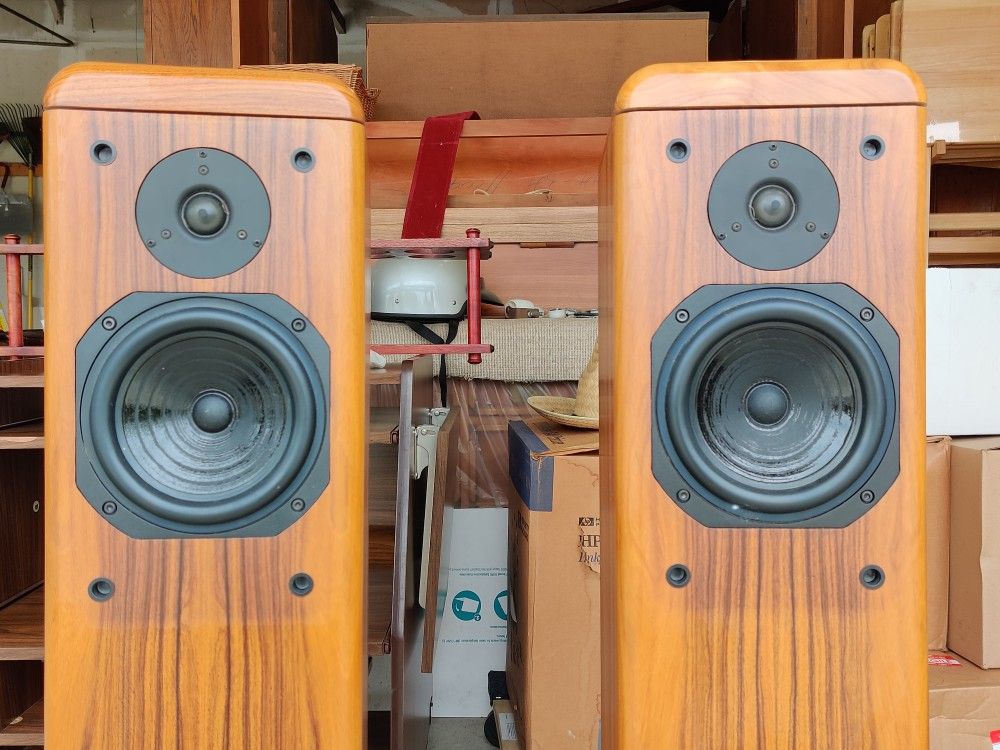 SWANS Speaker Systems "Baton" Hi-Fi Speakers!