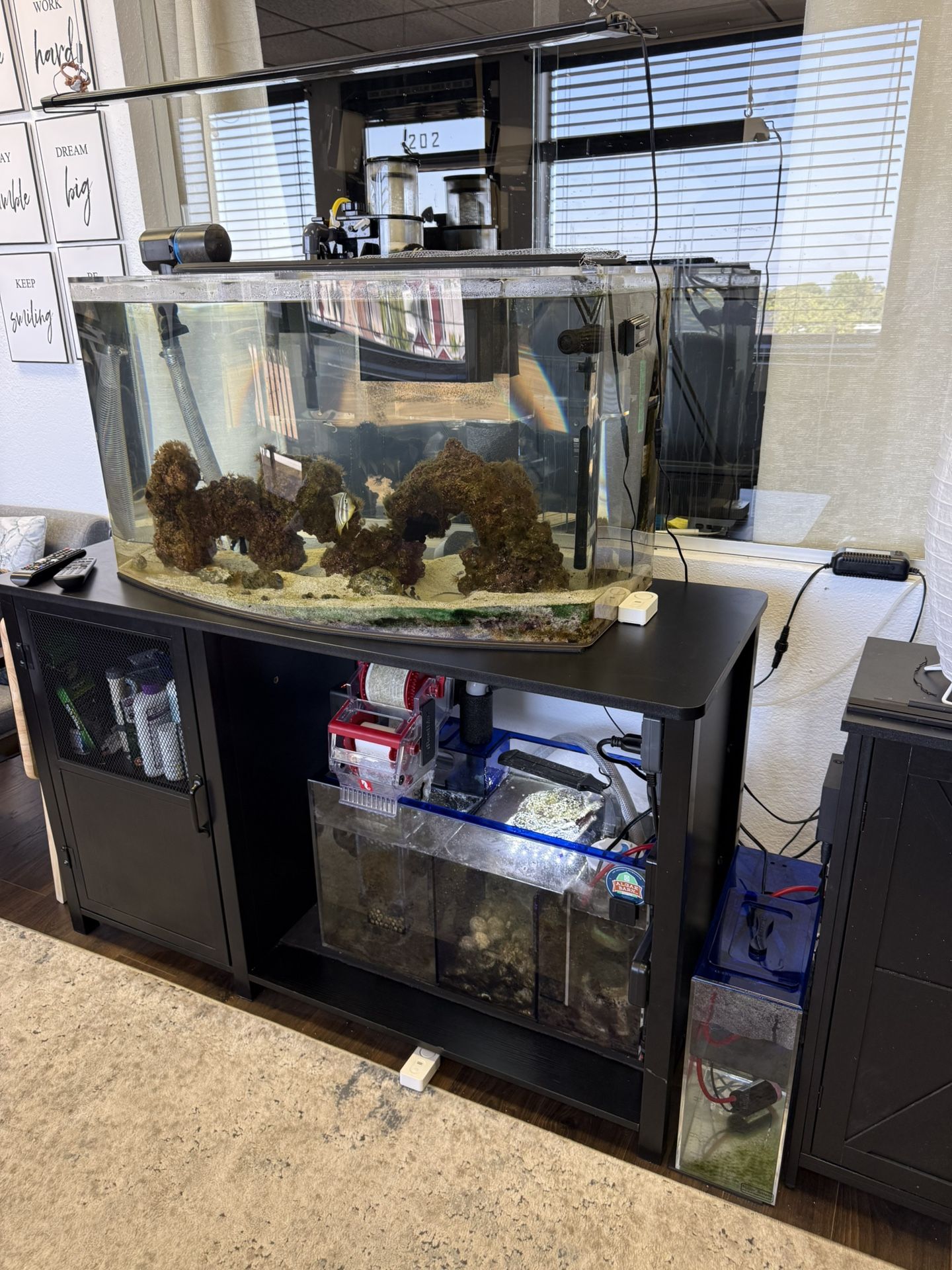 Bow Front Fish Tank Plus Accessories