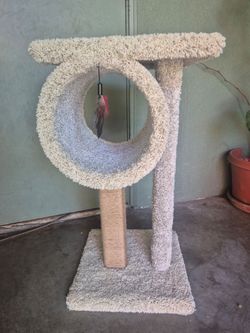 🐱 New Tower for Cats 🐱