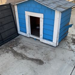 Dog House