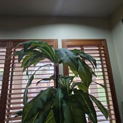 Fake bamboo tree plant