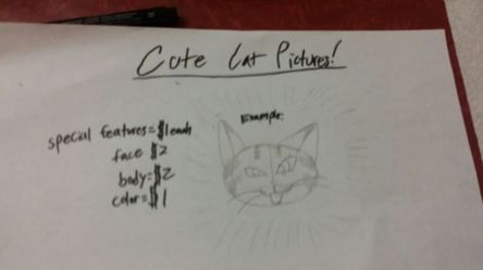 Cheap & Cute Cat Pictures!